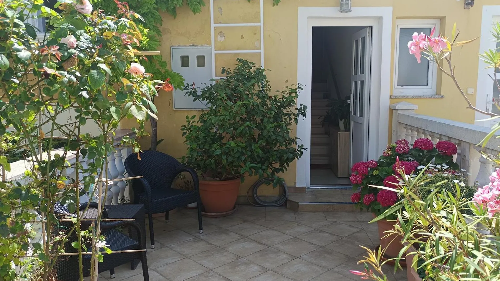 Apartment & Studio Elizabet Baska  Croatia